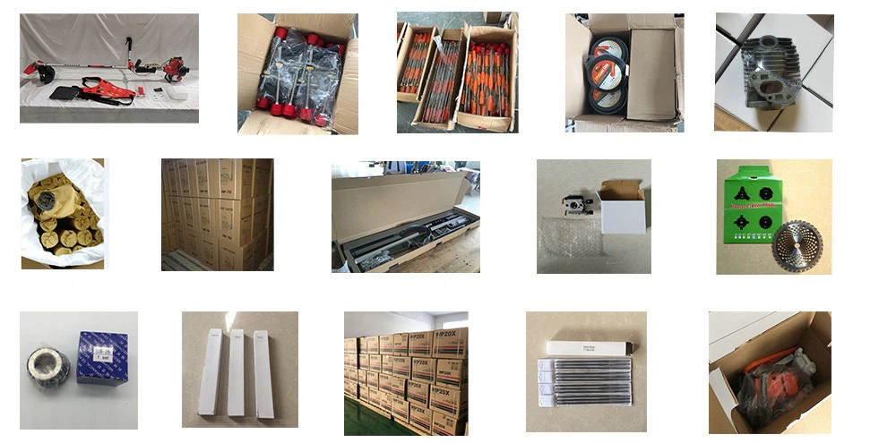 product-1000-495 product-1000-495